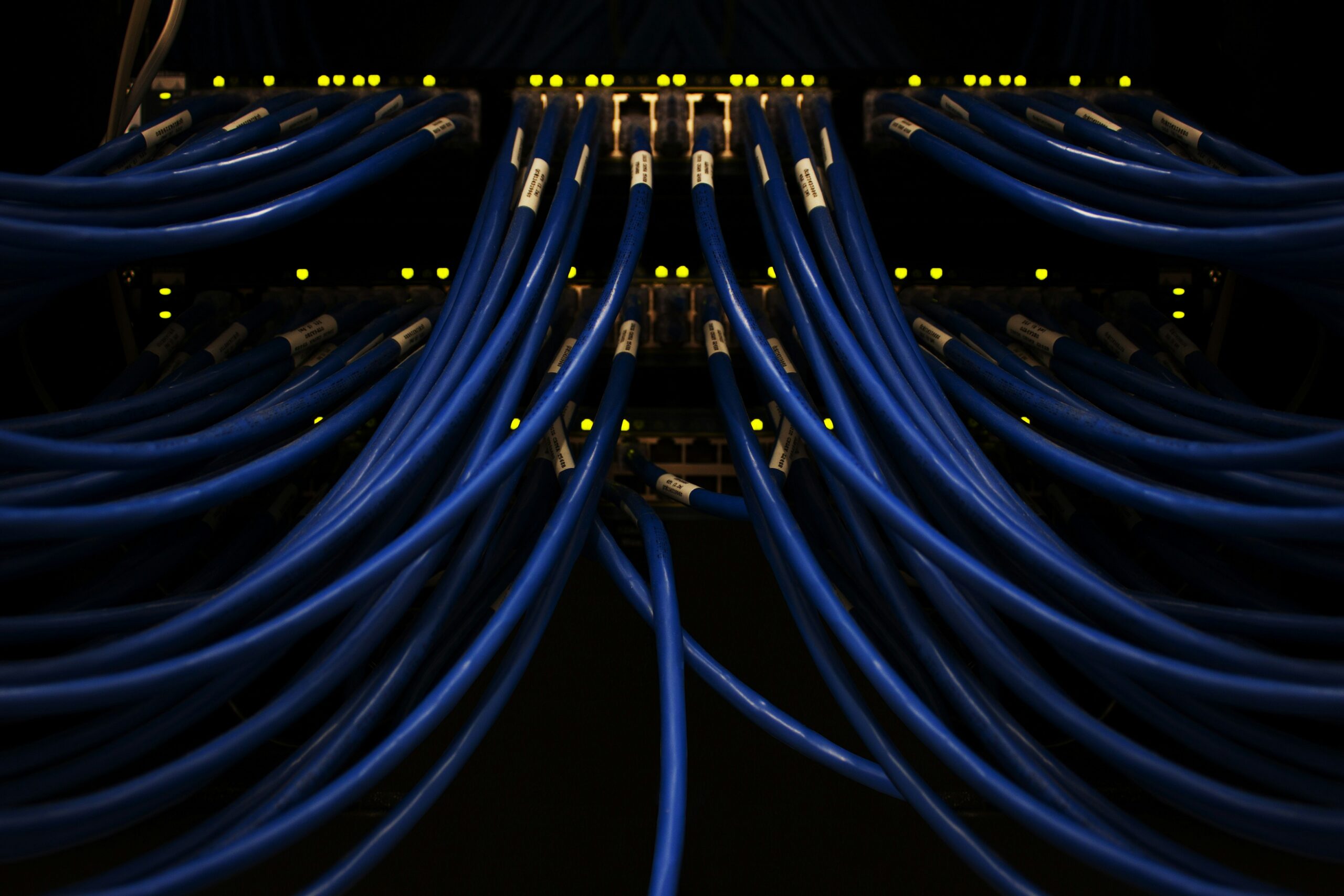 Networking and security: blue network cables connected to a rack switch